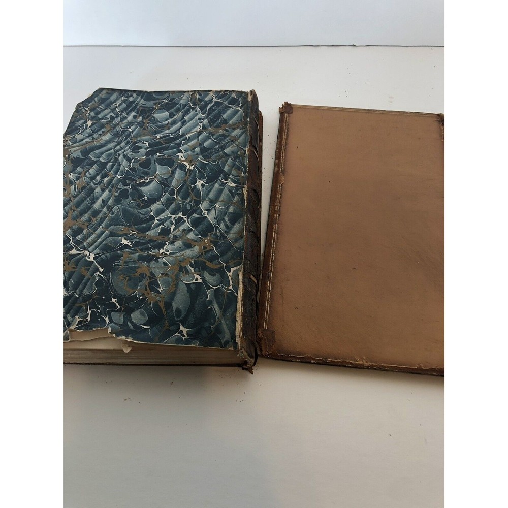 The Life Of Jeanne D’Albret, Queen Of Navarre, First Edition, By Martha Freer V2 - Picture 5 of 6